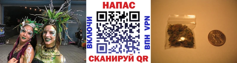 мориарти какой сайт Лангепас Канабис ГИДРОПОН